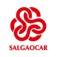 logoSalgaocar