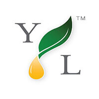 logoYL-oil