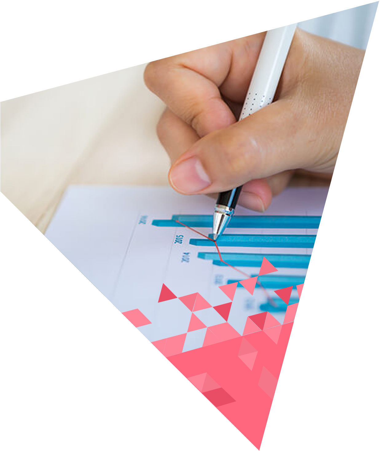 https://www.edcs.co.in/wp-content/uploads/2021/05/our-core-value2.png