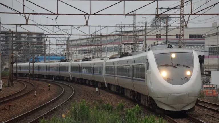 SAP ECC rollout for a multi-state rail electronics program